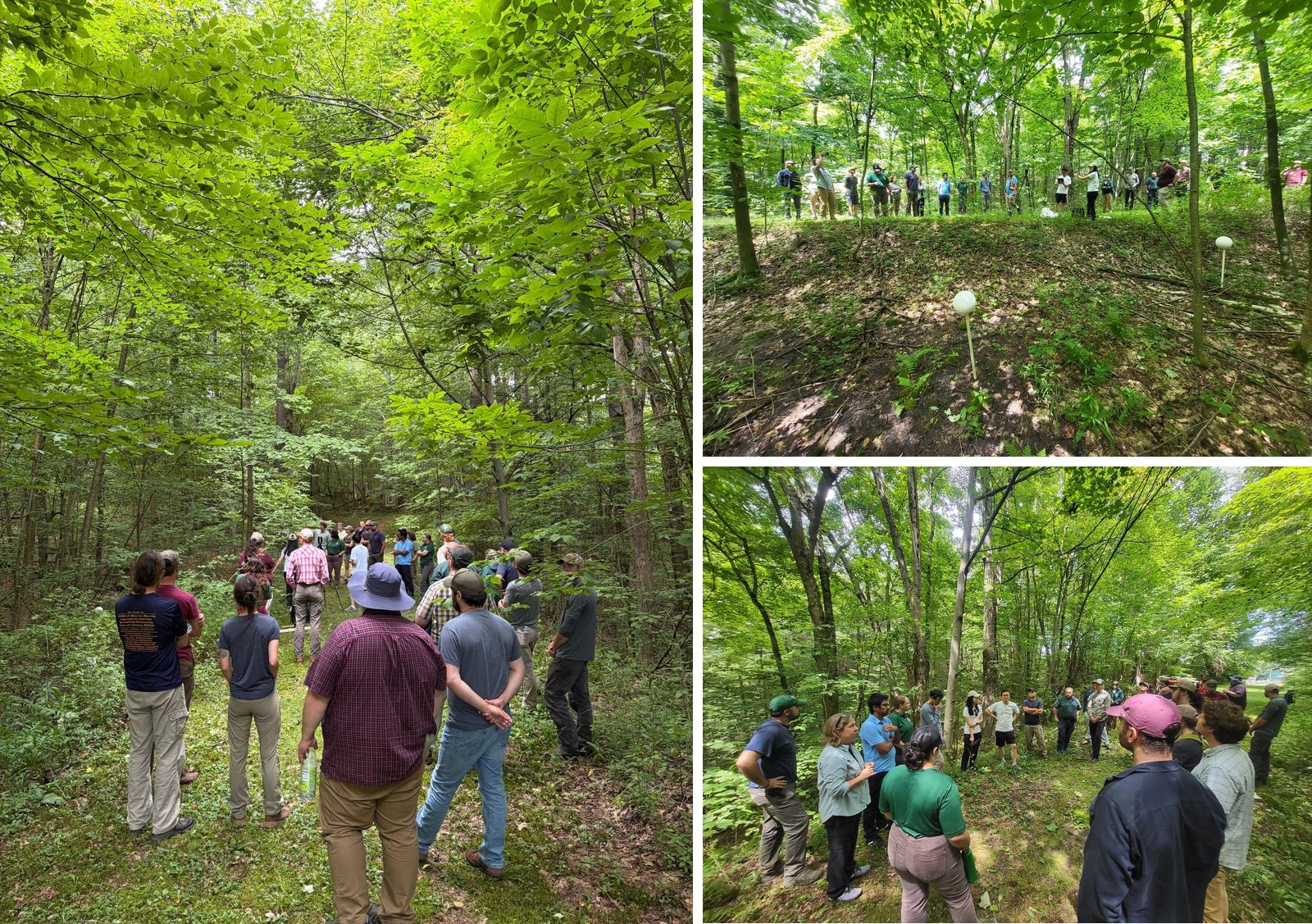 Workshop participants walking a forest trail, gathering around an instructor, and standing beside marked plot centers