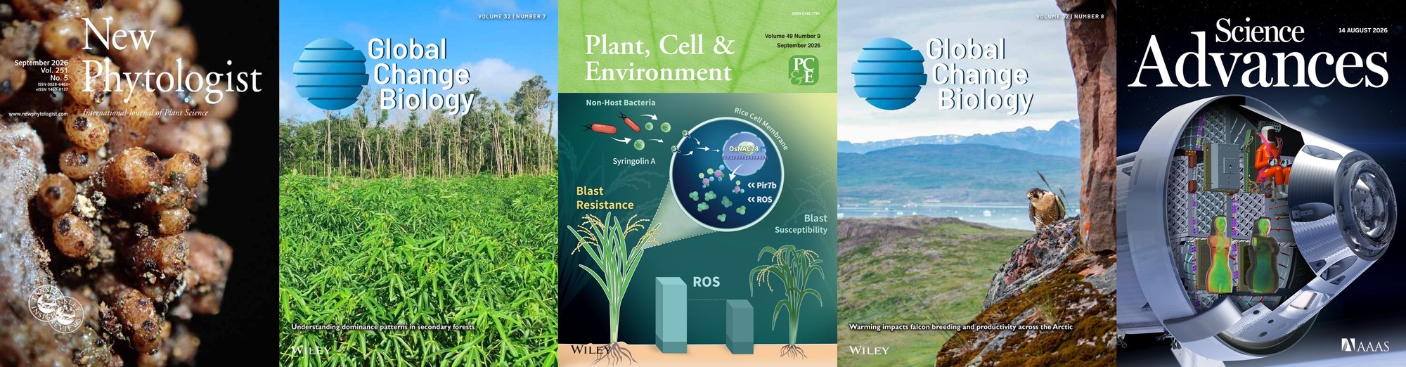 Collaborative research spotlights August 2026