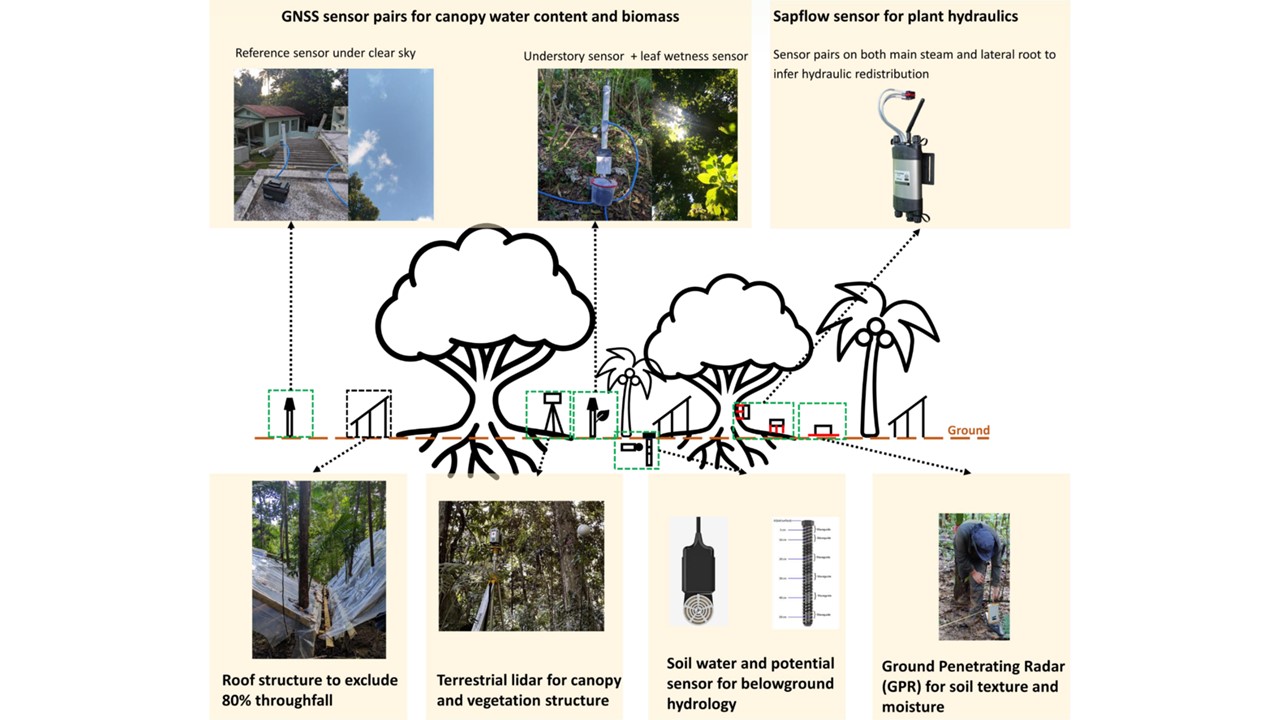 MACROCOSM: Monitor And Constrain tROpical eCOsystem Sensitivity to Moisture