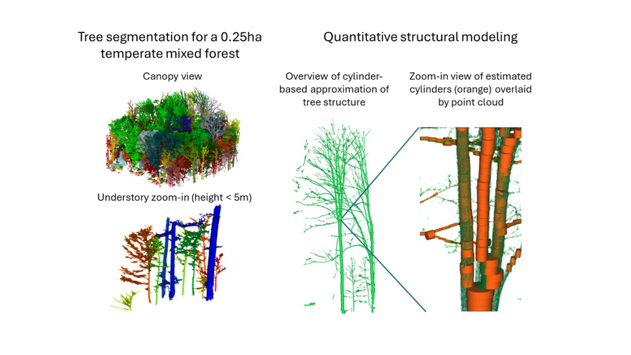 Measuring temperate carbon stock and dynamics with terrestrial laser scanning